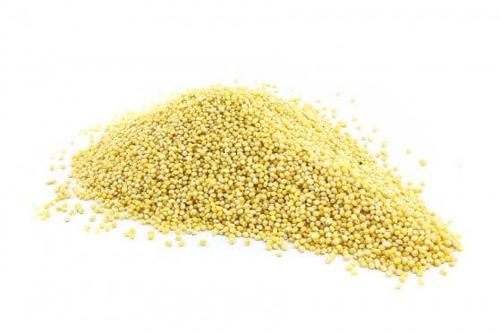 millet seeds - most parakeets adore it