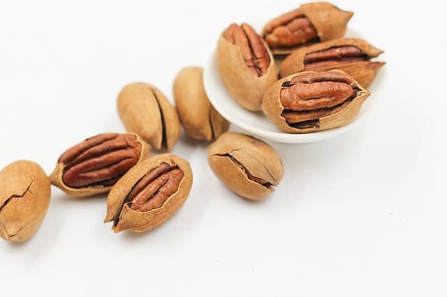 photo of a pecan