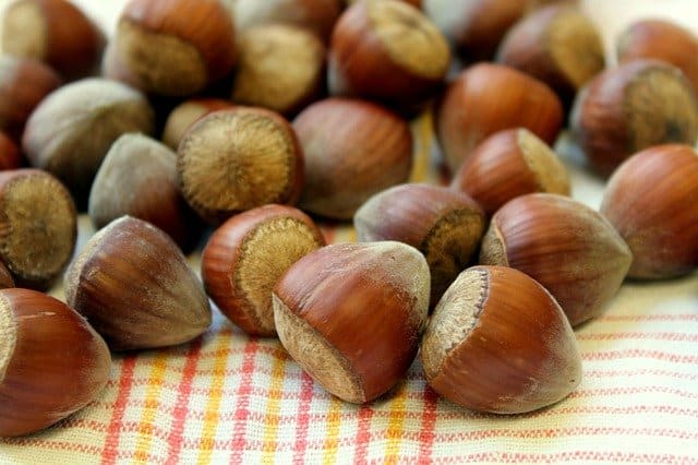 photo of hazelnuts